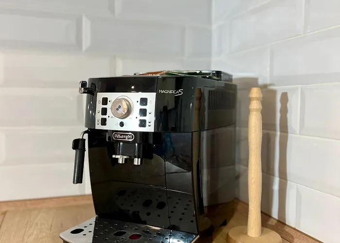 Homeland The Nest Κλουζ-Ναπόκα